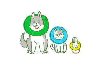 エリザベスカラー三兄弟